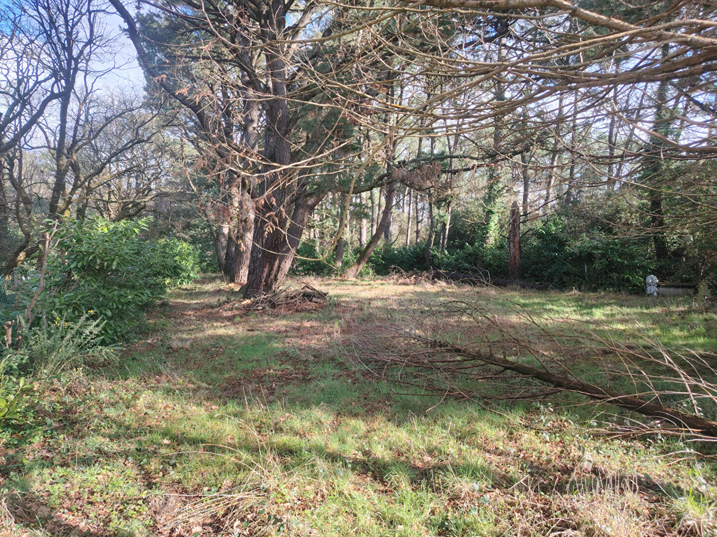 Terrain Saint Hilaire De Riez 2200 m2